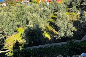 1309sqm Sea View Plot of Land for Sale in Faralya Oludeniz