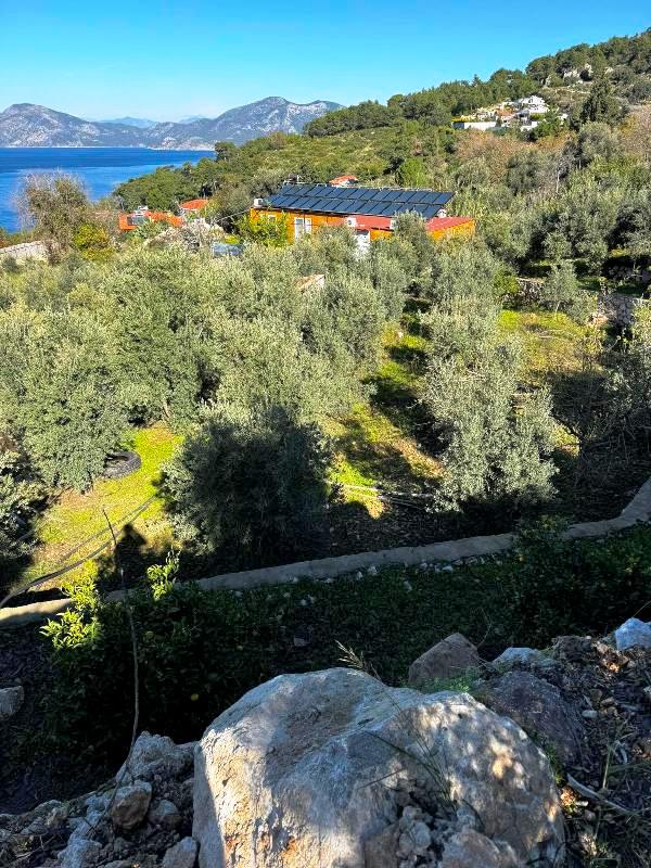 1309sqm Sea View Plot of Land for Sale in Faralya Oludeniz
